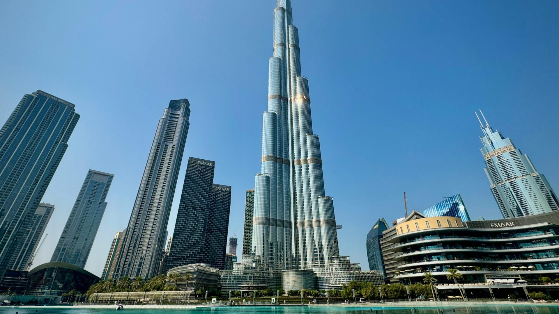 pexels-nelemson-29493117